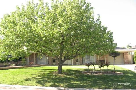 19 Dallas Ct, Wynn Vale, SA 5127