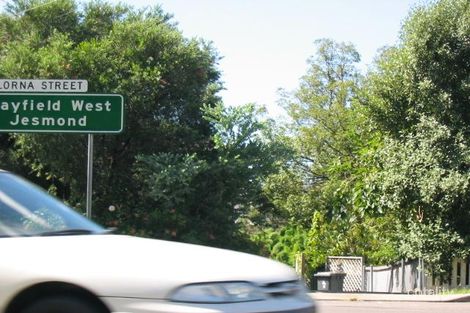 49 Lorna St, Waratah, NSW 2298