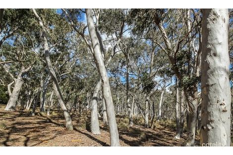 Property photo of 74 Clare Lane Bungendore NSW 2621