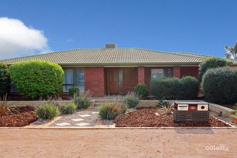 Property photo of 46 Korinthos Street Renmark SA 5341