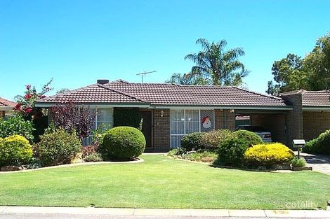 19a Direction Pl, Morley, WA 6062