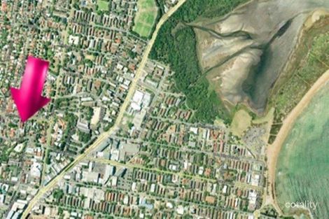 Property photo of 3 Hogarth Avenue Dee Why NSW 2099