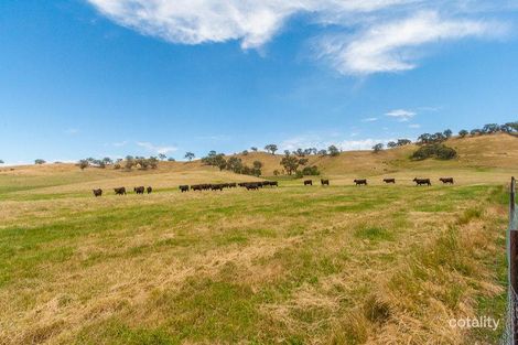 Property photo of 1 Frees Road Gobur VIC 3719