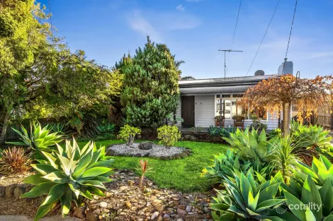 36 Pavo St, Belmont, VIC 3216