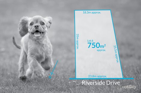 31 Riverside Dr, Felixstow, SA 5070