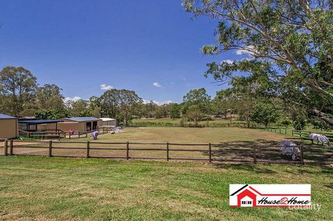 Property photo of 14 Dandaloo Court Pimpama QLD 4209