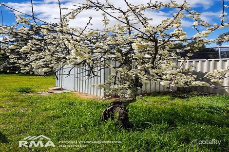 Property photo of 47 Roberts Street Collie WA 6225