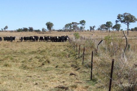 218 Lagoon Rd, Guyra, NSW 2365