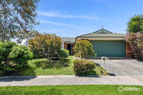 57 Kinlora Dr, Somerville, VIC 3912