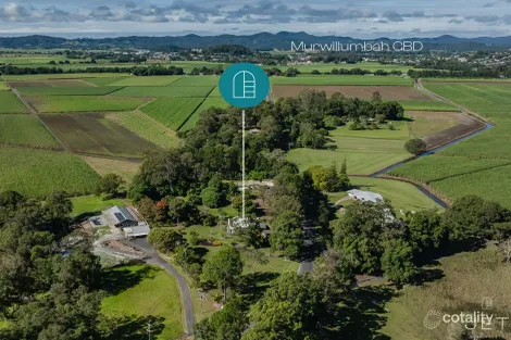 Property photo of 130 Brooks Road Kynnumboon NSW 2484