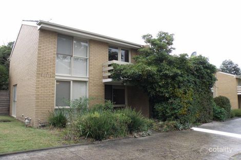 Property photo of 4/65-67 Albion Road Box Hill VIC 3128