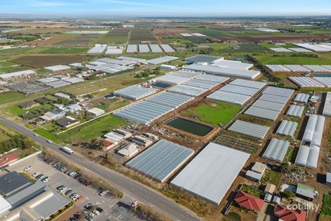 Property photo of 96 Gawler Road Virginia SA 5120