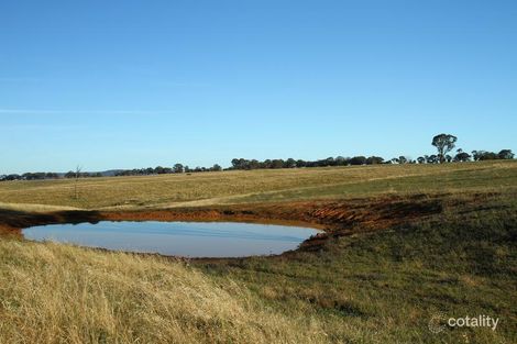 Property photo of 231 Milo Road Murringo NSW 2586