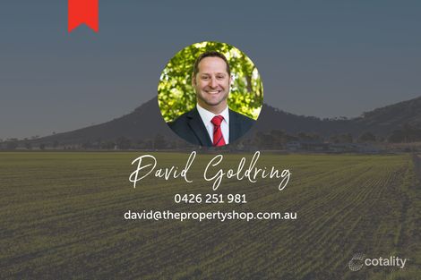 Property photo of 13 Carolina Crescent Mudgee NSW 2850