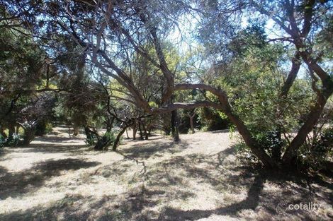 Property photo of 24 Observation Drive Rye VIC 3941