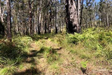 2455 Tyringham Rd, Tyringham, NSW 2453