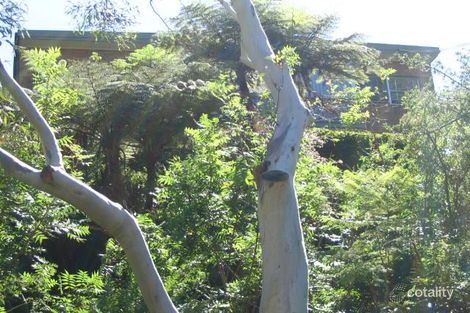 Property photo of 26 Waugoola Street Gordon NSW 2072