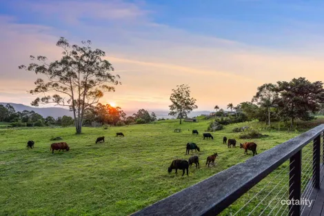 429a Main Western Rd, Tamborine Mountain, QLD 4272