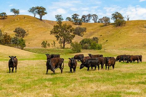 Property photo of 1 Frees Road Gobur VIC 3719