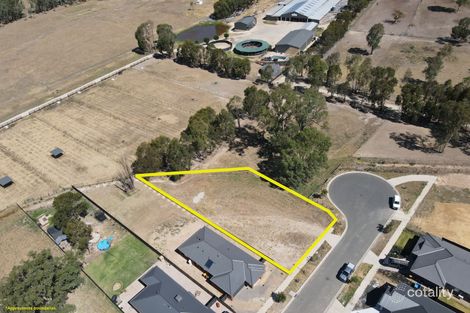 39 Grayling St, Seymour, VIC 3660