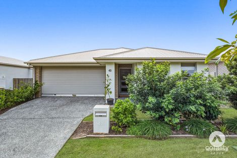 43 Dorrigo St, Yarrabilba, QLD 4207