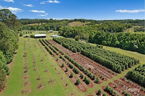 Property photo of 63 Gibsons Road Alstonvale NSW 2477