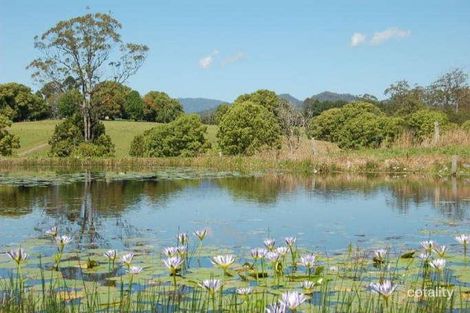 Property photo of 280B Upper Orara Road Karangi NSW 2450