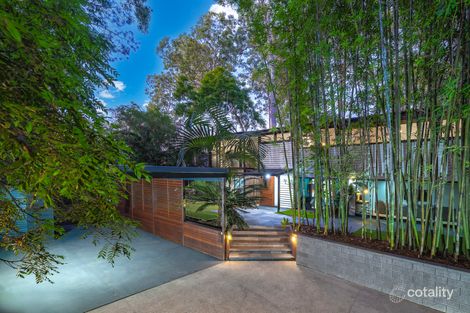 Property photo of 19 Musgrave Street Fig Tree Pocket QLD 4069