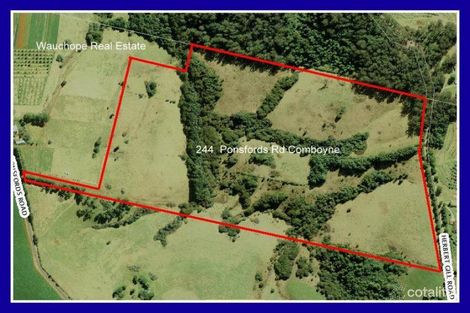 244 Ponsfords Rd, Comboyne, NSW 2429