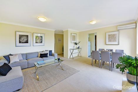 Property photo of 6/139 Sydney Street North Willoughby NSW 2068