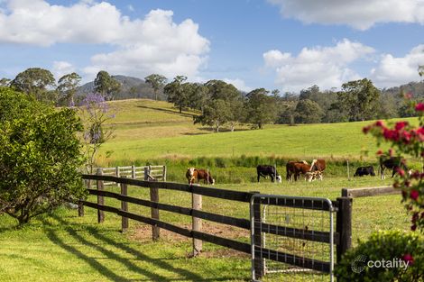 Property photo of 103 Butchers Creek Road Wherrol Flat NSW 2429
