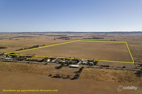 Property photo of 87 Hills Road Robertstown SA 5381