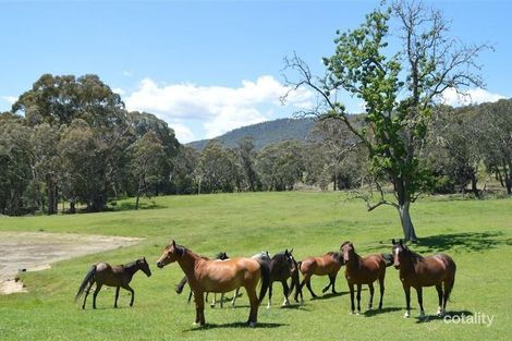 95 Bago Forest Rd, Tumbarumba, NSW 2653