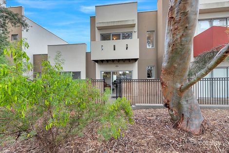 Property photo of 5/55 Grasswren Way Mawson Lakes SA 5095