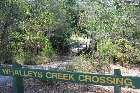 Property photo of 14 Potoroo Place Burnside QLD 4560