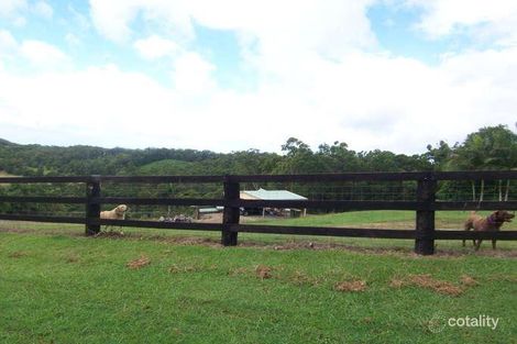 Property photo of 57 Gallery Drive Bli Bli QLD 4560