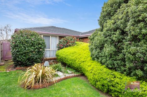 Property photo of 38 Waltham Drive Mornington VIC 3931