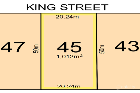 45 King St, Coolgardie, WA 6429
