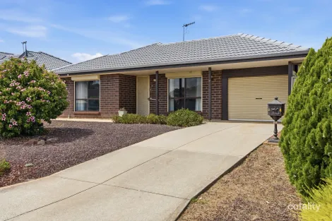 8 Cassinia St, Craigmore, SA 5114