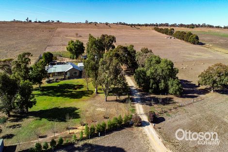 Property photo of 9295 Riddoch Highway Cadgee SA 5271