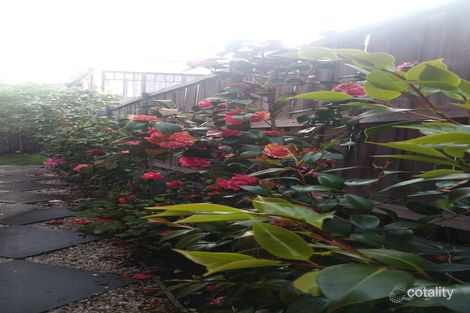 58 Quayle St, Sandy Bay, TAS 7005