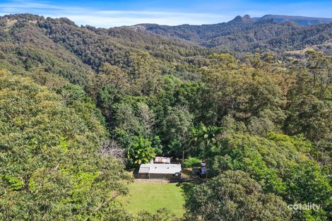 Property photo of 724 Tomewin Mountain Road Currumbin Valley QLD 4223