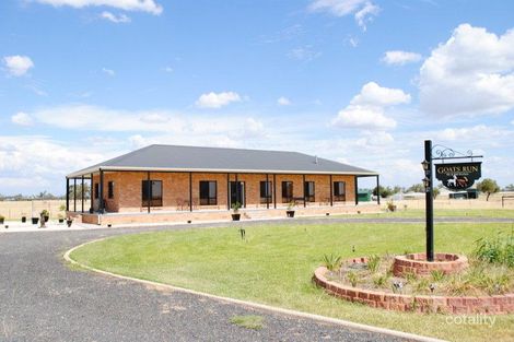 Property photo of 19287 Gwydir Highway Moree NSW 2400