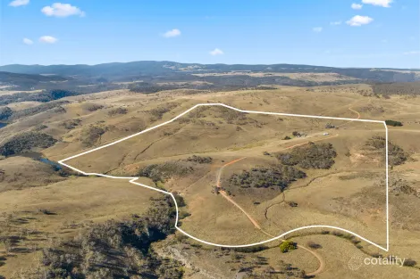 946 Caddigat Rd, Dry Plain, NSW 2630