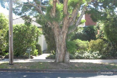 40 Bridgeford Ave, Blackburn North, VIC 3130