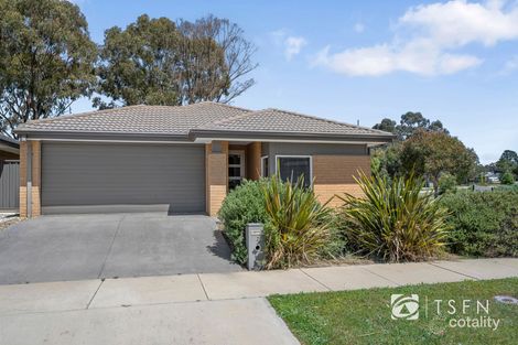 2 Eucalyptus St, Jackass Flat, VIC 3556
