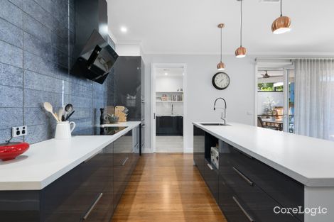 Property photo of 99 Great Ryrie Street Heathmont VIC 3135