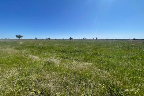 251l Mogriguy Rd, Eumungerie, NSW 2822