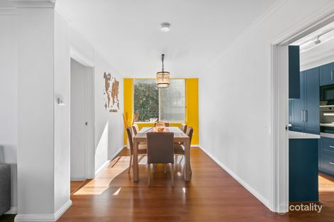 Property photo of 3/219 Alison Road Randwick NSW 2031