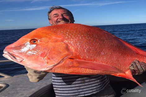 Property photo of 17 Tingira Close Rainbow Beach QLD 4581